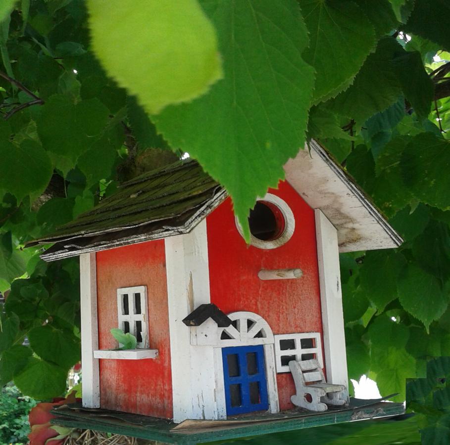 Ferienwohnung Holl 보름스 외부 사진